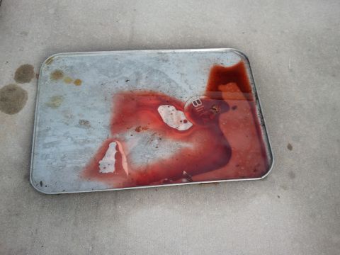 1994 Ford Bronco - Drip pan collecting transmission fluid, likely from a vehicle repair.