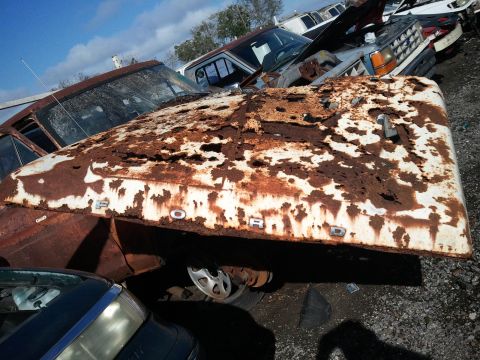 1994 Ford Bronco - The hood of a heavily rusted white vehicle displays the 'FORD' lettering, situated amongst other vehicles in a junkyard.