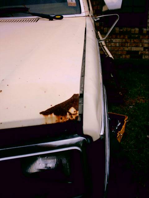 1980 Ford Bronco - Close-up down the driver-side hood of a white Ford truck showing a large area of bubbling rust and paint failure at the front hood corner a…
