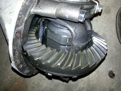 1985 Toyota Pickup/SR5 - Differential gears and housing shown in detail.