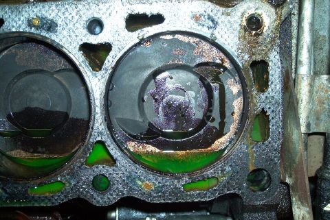 1993 Ford Taurus - Close-up down onto an engine block deck with the cylinder head removed, showing two dished piston crowns coated in dark oil and green coola…