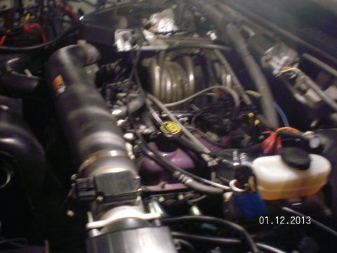1996 Ford Bronco - In dark garage with flash forced off and just the hood light on in the entire garage.