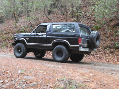 1986 Ford Bronco “tray mtn 1-14-13”