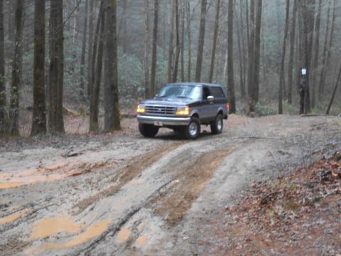 1986 Ford Bronco - Ford Bronco navigates a muddy trail through a dense forest.