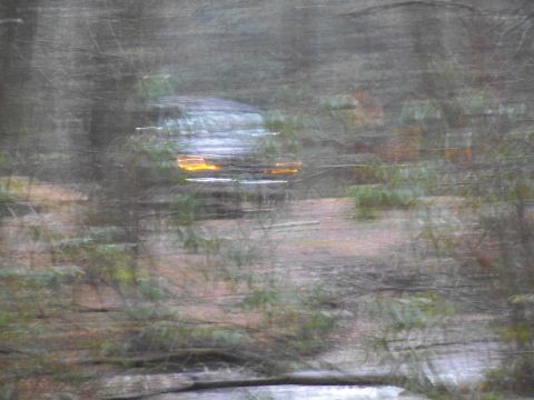 1986 Ford Bronco - Vehicle driving through a wooded area on a dirt path, motion blur is significant.