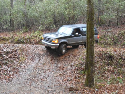 1986 Ford Bronco - This 1986 Ford Bronco navigates a wooded trail, its off-road capability.