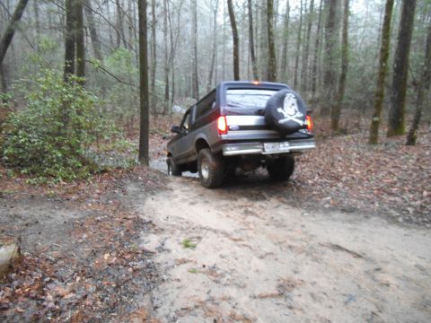 1986 Ford Bronco - 1986 Ford Bronco navigates a wet, muddy trail through a dense forest, its rear end visible with a pirate skull spare tire cover.