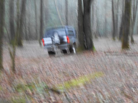 1986 Ford Bronco - A dark SUV drives through a wooded area, its rear and spare tire visible.