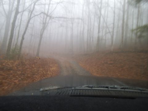 1986 Ford Bronco - Driving on a dirt road in a foggy forest during autumn.