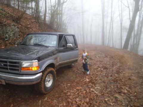 1986 Ford Bronco photo