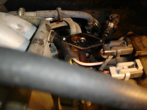 1996 Ford Bronco - Close-up view of engine components including hoses, electrical connectors, and a small black plate with bolts.