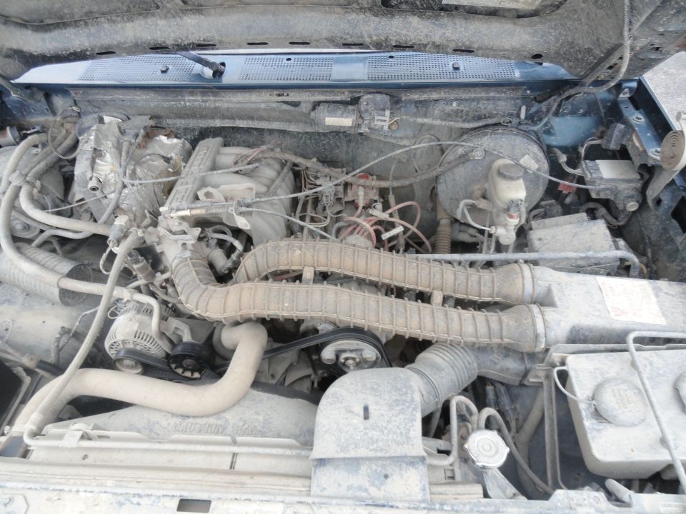 1995 Ford Bronco engine bay with V8 engine, air intake hoses, alternator, and brake fluid reservoir