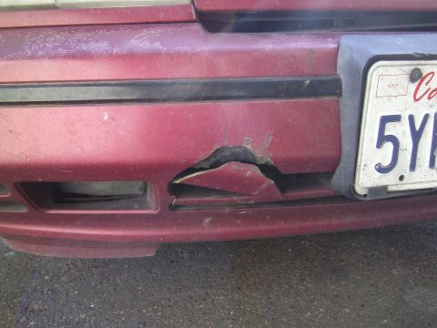 1991 Ford Taurus photo