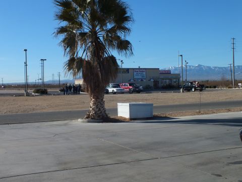 2003 Ford Crown Victoria - Lone palm tree in a sandy lot with a small restaurant, parked vehicles and snow-dusted peaks in distance