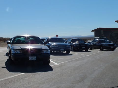 2003 Ford Crown Victoria - Black Crown Victoria leads a line of parked sedans beside a low desert building