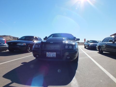 2003 Ford Crown Victoria - Black Charger with push bar and EVIL VIC plate flanked by sedans under bright sun