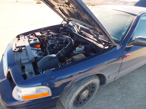 2003 Ford Crown Victoria - Underhood view of a blue Crown Victoria V8 with amber turn lens and steel-wheel spare visible.