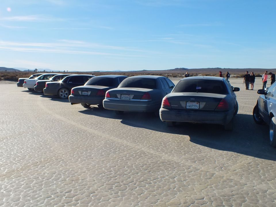 Rear of Ford Crown Victoria sedans parked in a row on dusty desert lakebed