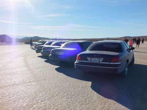 2003 Ford Crown Victoria - Backlit row of Panther sedans on desert flat; nearest car's plate reads 4ZMA103, people at right.
