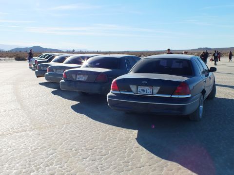 2003 Ford Crown Victoria - Trunks and taillights of full-size Fords staggered on cracked playa with people in background.