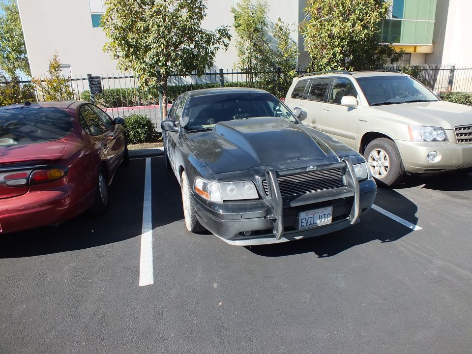 Black Crown Victoria with push bar in parking lot, novelty plate reading EVIL VIC