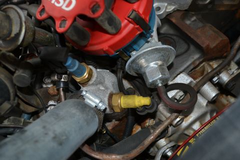 1978 Ford Bronco - Close-up view of engine components, including a distributor cap and various hoses and fittings.