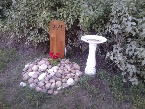 1990 Ford Bronco - A pet's grave marker and a bird bath are shown in a garden setting.