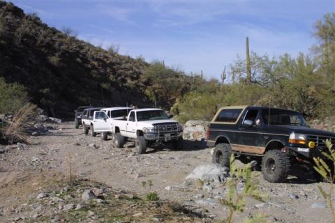 1994 Ford Bronco - A line of off-road vehicles, including a black Ford Bronco, navigates a dusty desert path.