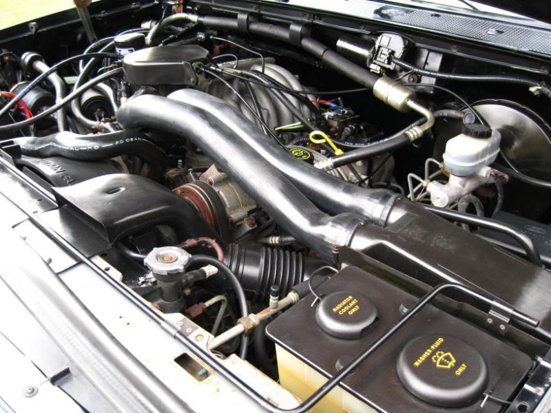 engine bay with large metal pipes and various hoses and fluid reservoirs