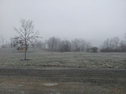 1986 Ford Bronco - A misty morning scene shows a lone tree and a small outbuilding in a rural setting.
