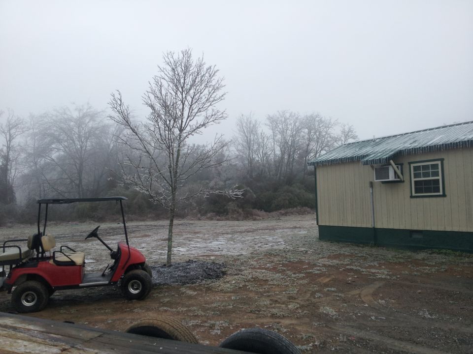 Red golf cart parked next to a small building on a foggy day