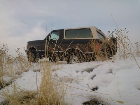 1992 Ford Bronco - A 1992 Ford Bronco sits in a snow-covered field, partially obscured by dry vegetation.