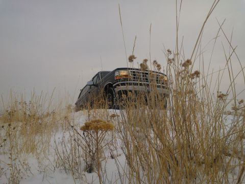 1992 Ford Bronco - A dark 1992 Ford Bronco is partially obscured by dry grass and snow.