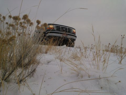 1992 Ford Bronco - Front view of a 1992 Ford F-Series truck partially obscured by dry grass in a snowy landscape.