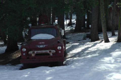 1971 Ford Bronco - A red truck sits in a snow-covered forest, with the number 7496 on its hood.