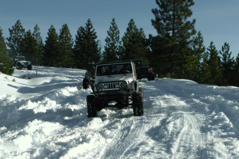 1971 Ford Bronco - Jeeps navigate a snowy trail through a forest landscape.