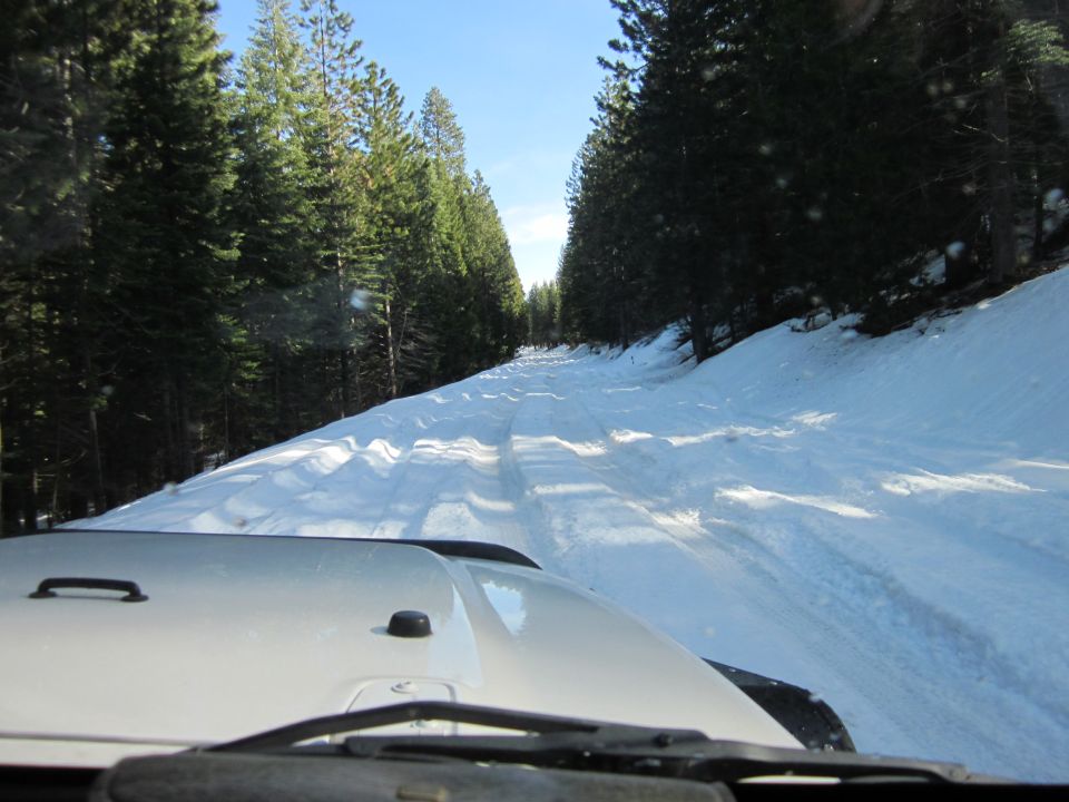 White SUV hood and windshield wipers on a snow-covered road through a forest