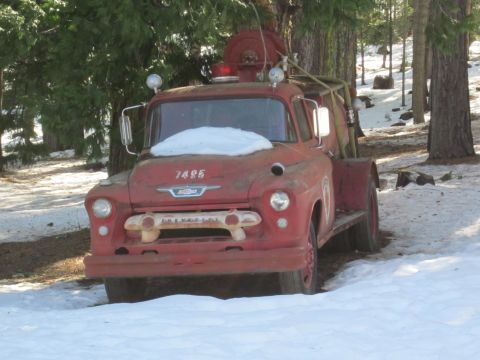 1971 Ford Bronco photo