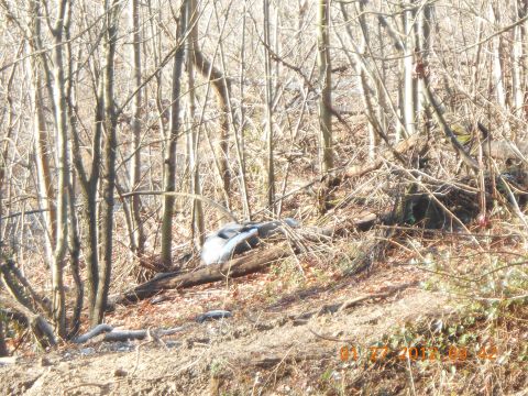 1986 Ford Bronco - A vehicle is partially visible, lying on its side amongst trees and brush.