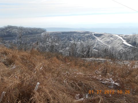 1986 Ford Bronco - Winter landscape with ice-covered trees and dry grass in the foreground. Date stamp reads 01 27 2012.
