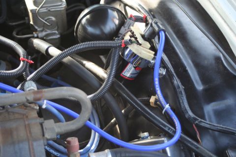 1976 Ford Ranchero - Close-up view of an engine's ignition system, blue spark plug wires and a distributor with red caps.