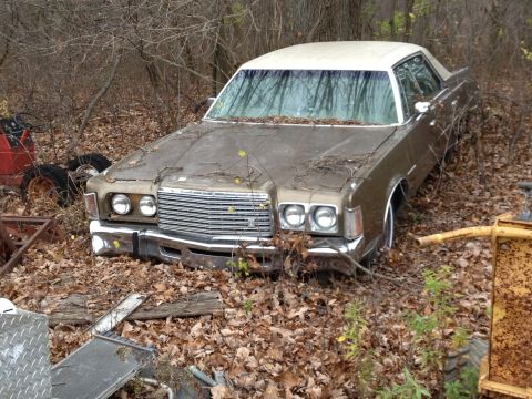 1988 Ford Bronco - Abandoned 1977 Ford LTD sedan sits in a wooded area, overgrown with vegetation.