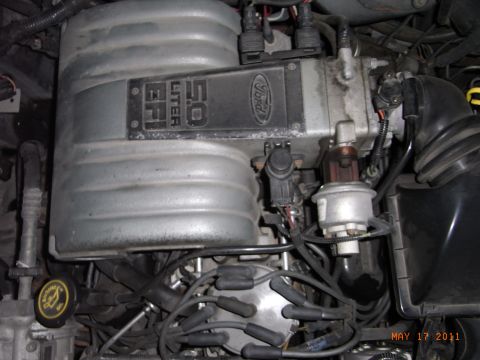 1991 Ford LTD Crown Victoria - Engine bay detail showing the Ford 5.0L EFI intake and ignition system components.