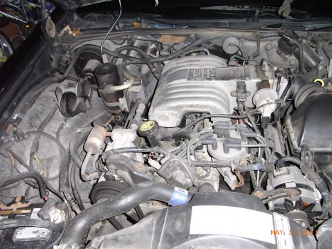 1991 Ford LTD Crown Victoria - The engine bay shows a 5.0 HO V8 engine, likely from a Ford vehicle of the early 1990s.