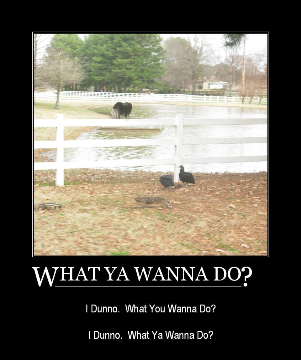 What Ya Wanna Do

by Steve83