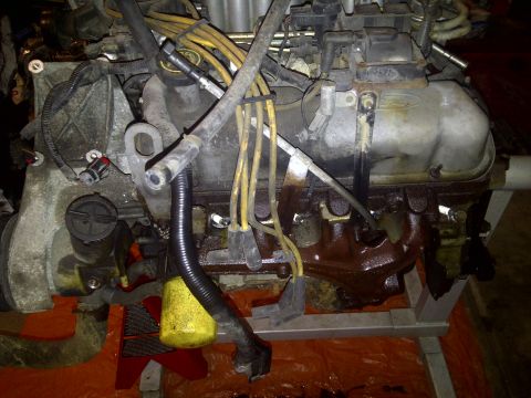 1995 Ford Bronco - Close-up view of a Ford V8 engine, likely out of a vehicle.