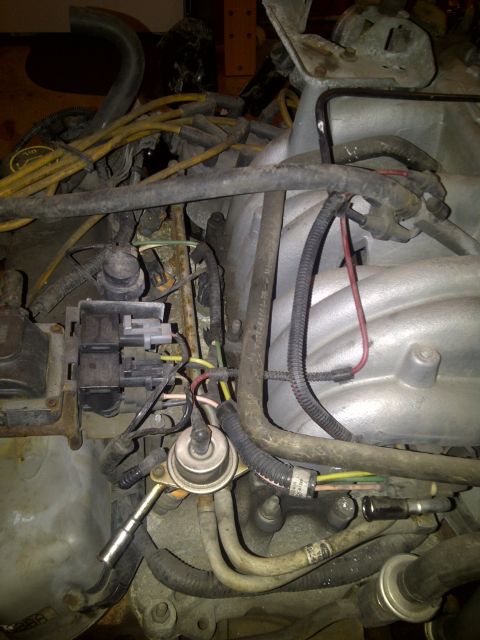 1995 Ford Bronco - Close-up view of engine components, including fuel lines and electrical connectors.