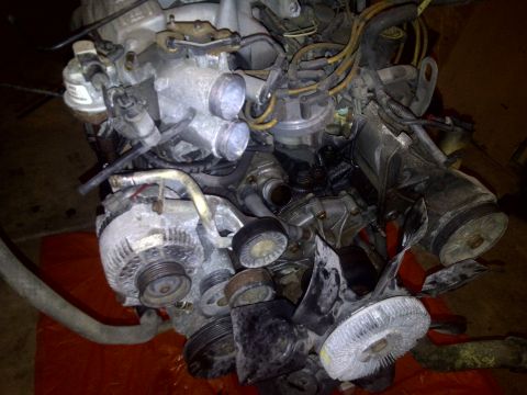 1995 Ford Bronco - Close-up view of an engine assembly, likely a Ford 351W, showing the alternator and fan shroud.