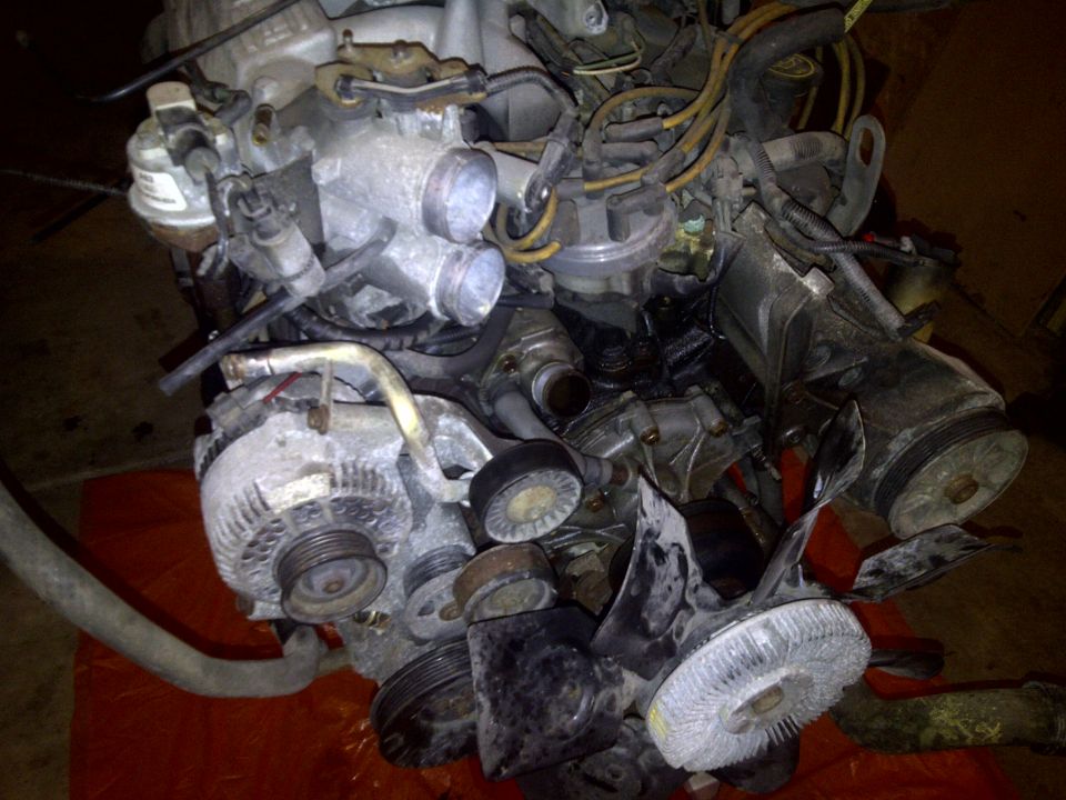 Engine with alternator and fan shroud