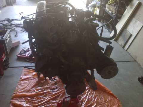 1995 Ford Bronco - Engine assembly is mounted on a stand, ready for work or transport.